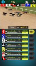 Pick Dog Racing截图2