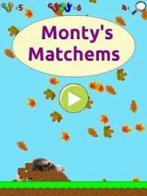 Monty's Matchems截圖1