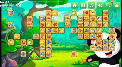 Onet Animal Panda截图4