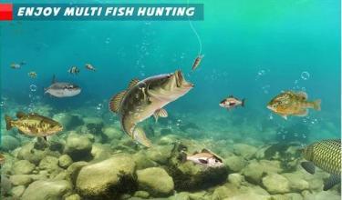 Ultimate Fishing Mania: Hook Fish Catching Games截图2