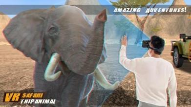 VR Safari Trip Animal截图1