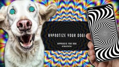 Real Hypnosis For Dogs Simulator截图