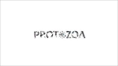 Protozoa截图2