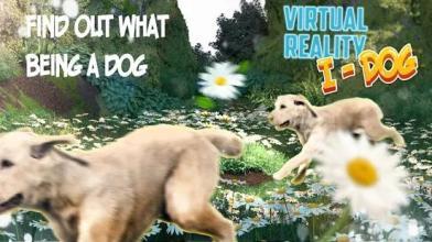 Virtual Reality I - Dog截图2