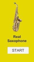 Real Saxophone HD截图