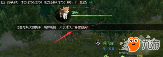 《逆水寒》逆水寒怎么养猫 宠物系统解析及猫宠获得方法