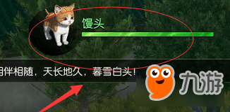 《逆水寒》猫咪宠物获取攻略