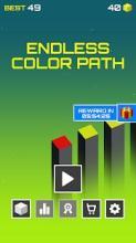 Endless Color Path截图