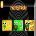 Fast Real Snake截图4