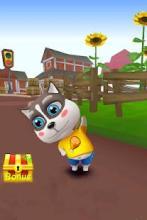 Tom Cat Fun Gold Run截图1