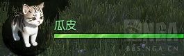 《逆水寒》如何获得猫咪宠物 逆水寒猫咪宠物获取攻略