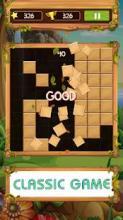 Block Wood Puzzle 2019截图2