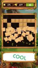 Block Wood Puzzle 2019截图1