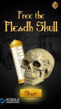 Free the Fleadh Skull截图