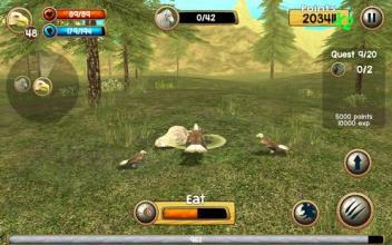 Wild Eagle Sim 3D截图4