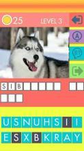 DOG QUIZ - DOG BREEDS截圖2