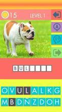 DOG QUIZ - DOG BREEDS截圖