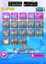 Dolphin Show 8截图4