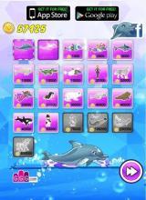 Dolphin Show 8截图3