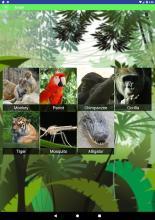 Animal Noise Soundboard For Kids截图3