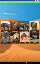 Animal Noise Soundboard For Kids截圖