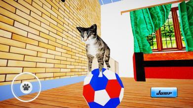 Cat Simulator : Kitten截图