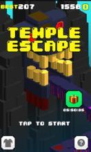 Temple Raider - Tomb Run Game截图1