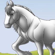 Interactive Horse Coloring Book截图3