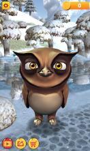 My Talking Owl截图3