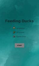 Feeding Ducks截圖