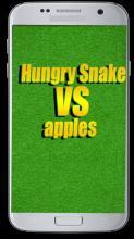 Hungry Snake vs apples截图