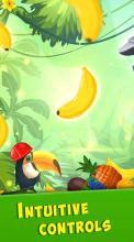 Jungle Monkey Mania - Catch The Fruits截图1