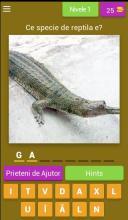 Ghiceste Reptila截图