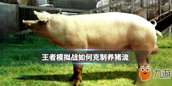 《王者模拟战》养猪流如何克制 克制养猪阵容介绍