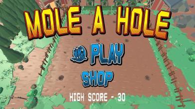 Mole A Hole截图1