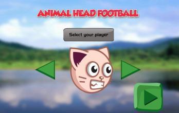 Animal Head Football截图