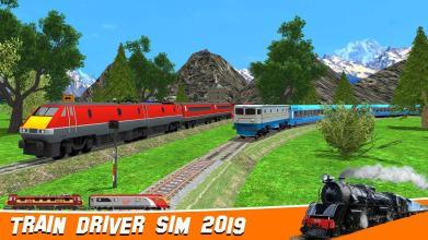 Train Driver Sim 2019截图2