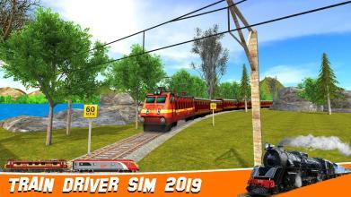 Train Driver Sim 2019截图1