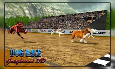 Dog Racing  Dog Simulator Dog racing games截圖3