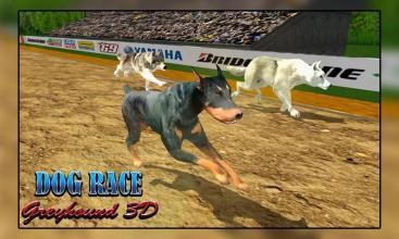 Dog Racing  Dog Simulator Dog racing games截圖