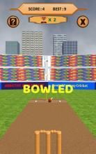 bowled 3d  cricket game截图3