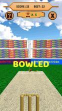 bowled 3d  cricket game截图1