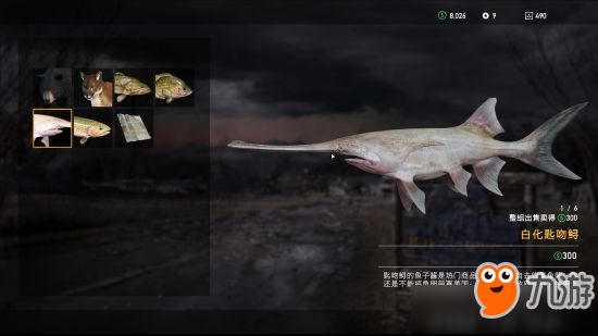 《孤岛惊魂新曙光》怎么钓鱼成功几率高 钓鱼高成功率技巧分享