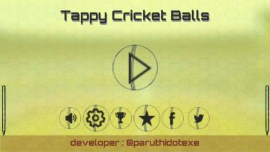 Tappy Cricket Balls截图1