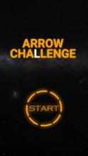 Arrow Challenge截图