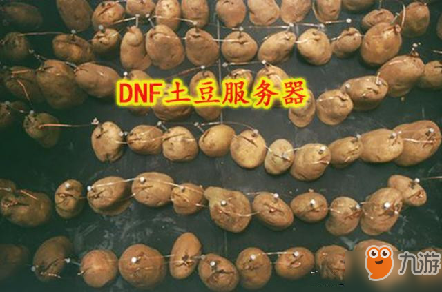 《DNF》土豆服務器是什么服務器 土豆服務器含義介紹