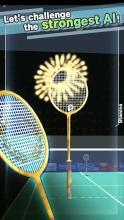 Badminton3D Real Badminton game截图3