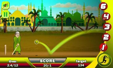 Ramzan Cricket截图2