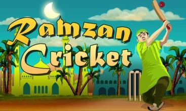 Ramzan Cricket截图