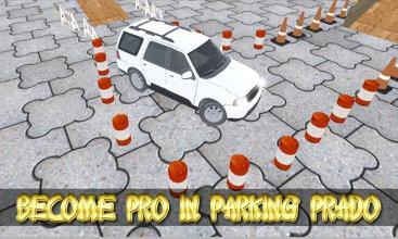 Advac Prad Parkg Hard Tug Parkg Gam截图2